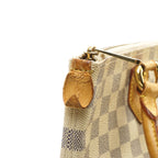 Louis Vuitton Saleya Pm Hand Bag