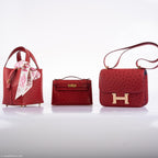Hermes Kelly Mini Pochette Rouge Vif Ostrich Gold Hardware - 2017, A