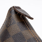 Louis Vuitton Damier Ebene Saleya PM Tote (SHF-16825)