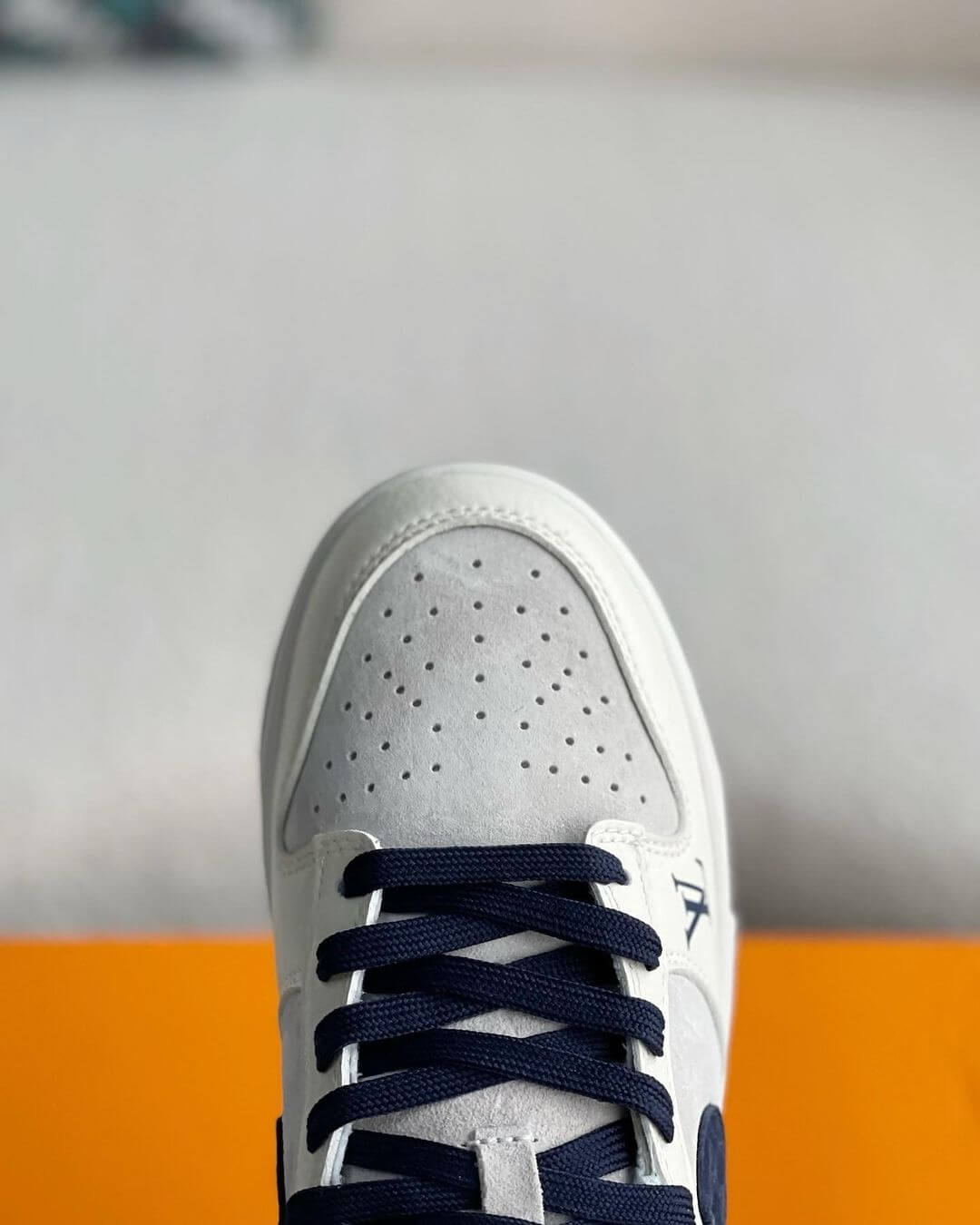 Nike SB Dunk Low x Louis Vuitton Sneaker