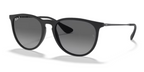 Ray Ban Erika Polarized Sunglasses