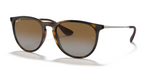 Ray Ban Erika Polarized Sunglasses