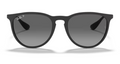 Ray Ban Erika Polarized Sunglasses