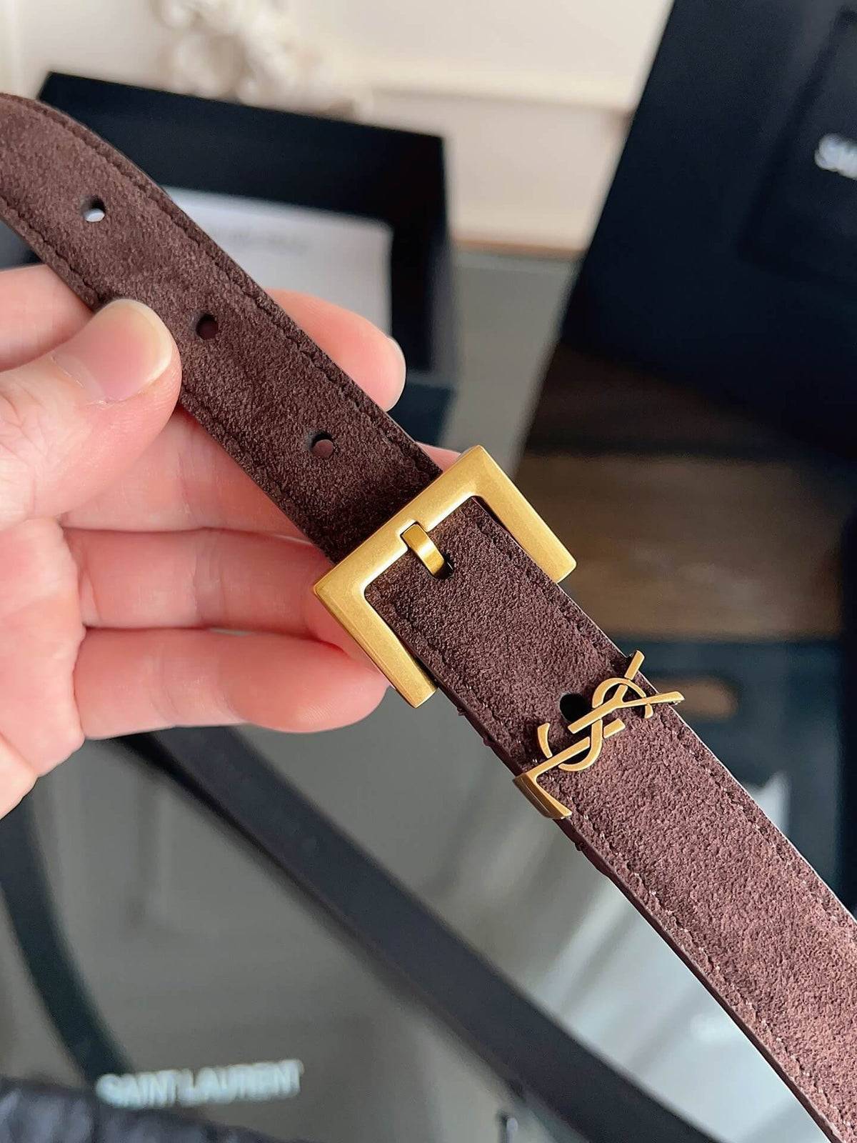 Saint Laurent Women's Cassandre Thin Belt in Dark Brown Suede