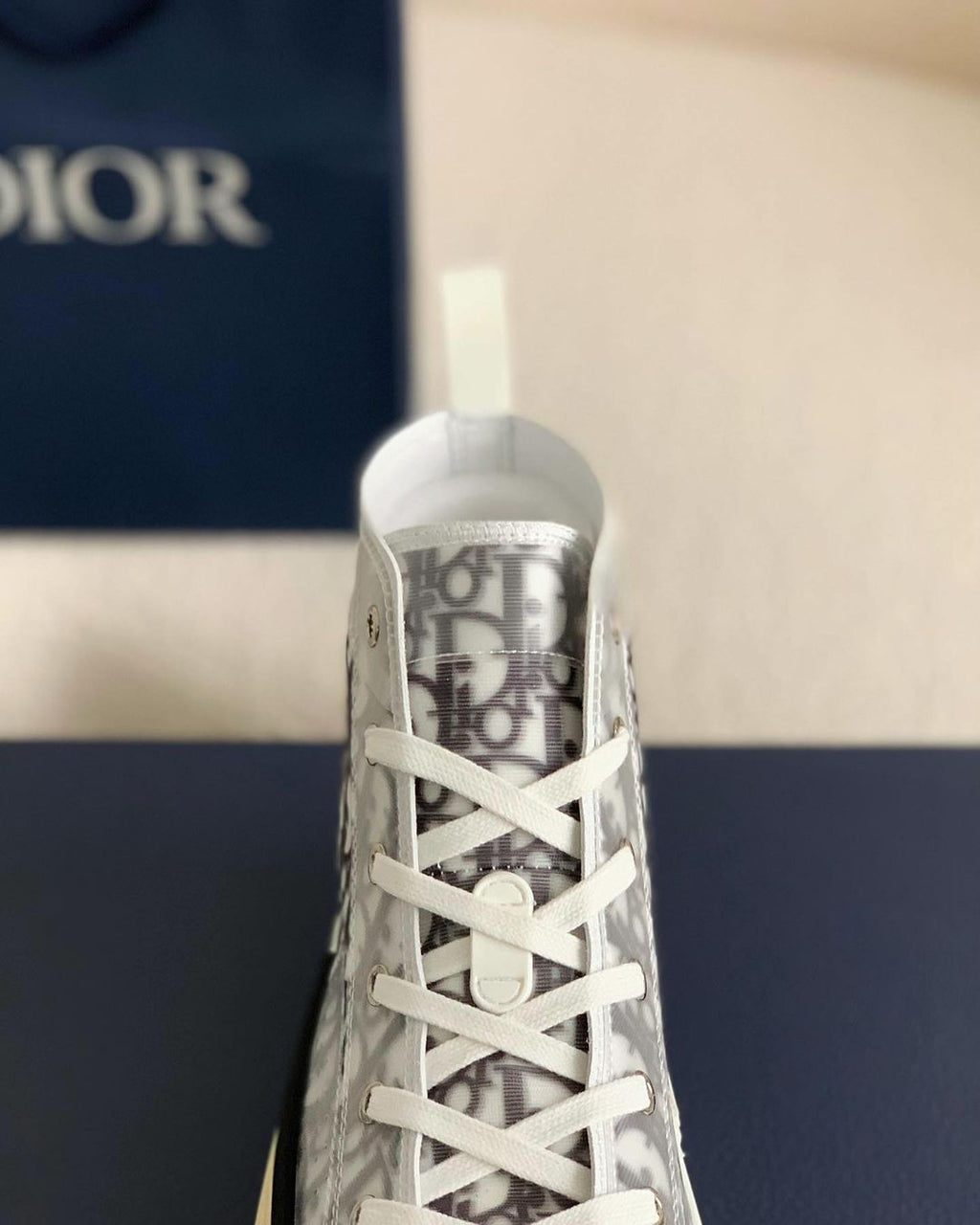 Dior B23 High-Top Sneaker in White & Grey Dior Oblique Transparent Technical Canvas