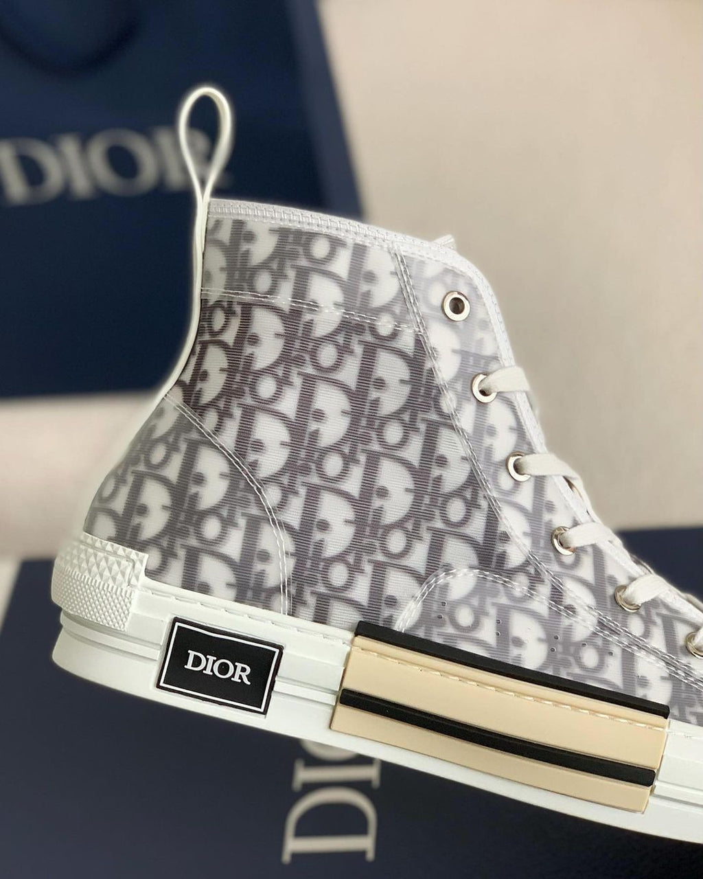 Dior B23 High-Top Sneaker in White & Grey Dior Oblique Transparent Technical Canvas