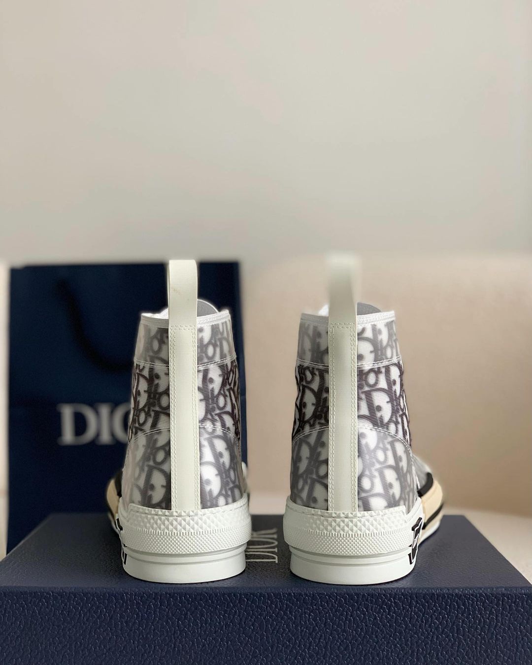 Dior B23 High-Top Sneaker in White & Grey Dior Oblique Transparent Technical Canvas