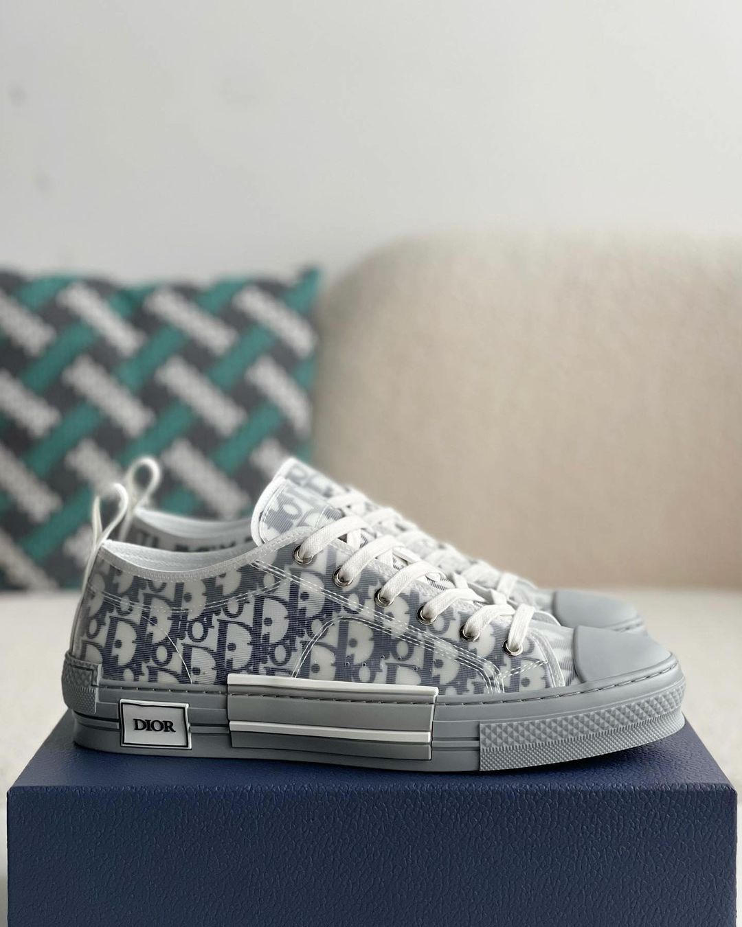 Dior B23 Low-Top Sneaker in White & Gray Dior Oblique Transparent Technical Canvas