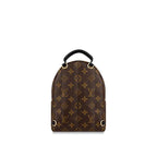 Louis Vuitton PALM SPRINGS MINI