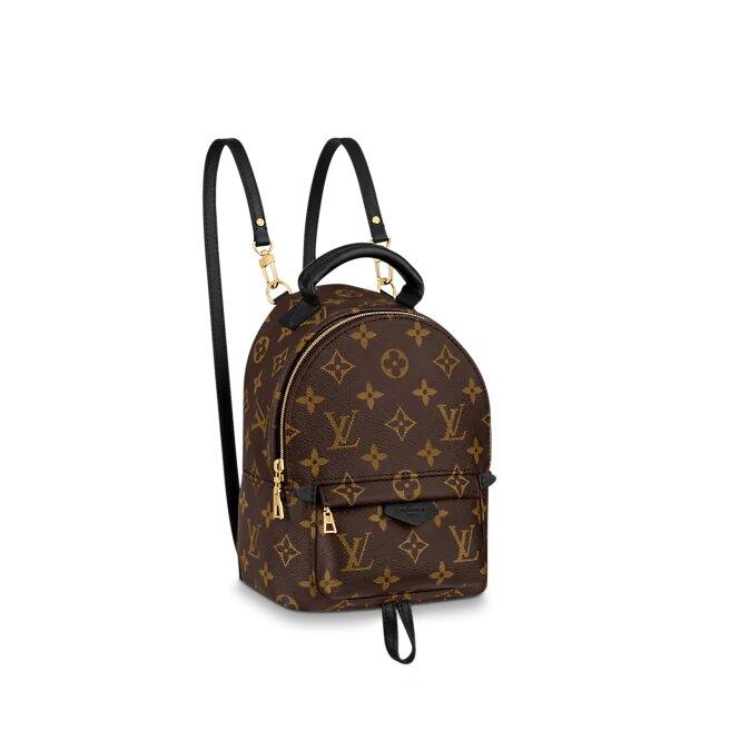 Louis Vuitton PALM SPRINGS MINI