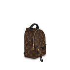 Louis Vuitton PALM SPRINGS MINI